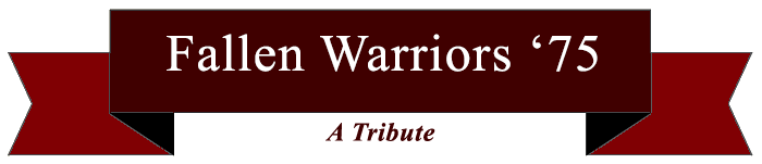 Fallen Warriors Ribbon